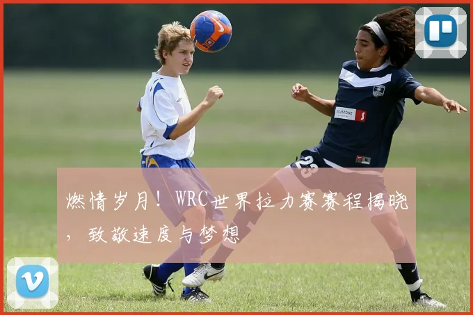 燃情岁月！WRC世界拉力赛赛程揭晓，致敬速度与梦想