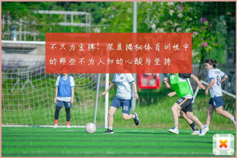 不只为金牌！深度揭秘体育训练中的那些不为人知的心酸与坚持