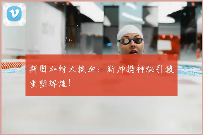 斯图加特大换血，新帅携神秘引援重塑辉煌！